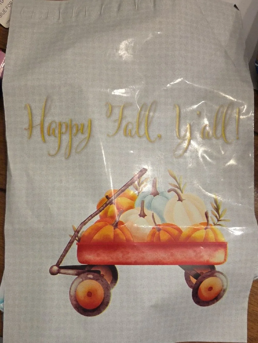 Autumn Themed- Random Pulled 10×13 Polly Mailers - Set Of 25
